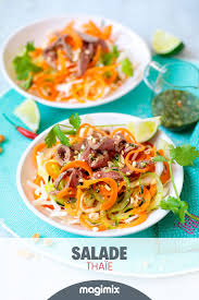 Salade Thaie Recette Magimix Recette Magimix Cook Expert Recette