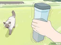 Maybe you would like to learn more about one of these? 3 Ways To Attract Cats Wikihow