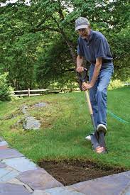 We did not find results for: Four Ways To Remove Grass For A Garden Bed