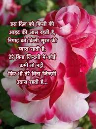 Pin By Mohammadguljarbhati On Hindi Good Morning Quotes Flower Quotes Hindi Good Morning Quotes Rose Flower