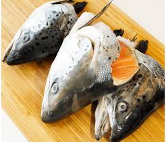 Salmon Head 5047636 Uae Jazp Com Please wait while your url is generating. jazp