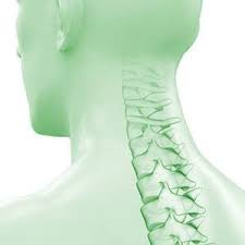 We did not find results for: Dr Weih Orthopade In Mulheim Kleines Halswirbelsaulen Lexikon