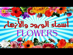 انواع الورود بالصور اسماء الورود بالصور