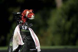 You Don T Know Frank Tiger Woods S Frank Here S The Story Behind The Stuffed Tiger Head Cover The Boston Globe