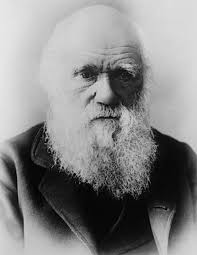 Presidentskandidaat noemt oerknal "een sprookje" en evolutietheorie "het  werk van de duivel"