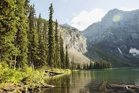It is bordered by yukon to the north, alberta to the east, the united states to the south and the pacific ocean and the alaska panhandle to the west. 10 Reasons We Should All Move To The Canadian Countryside