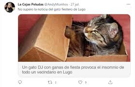 En medio de una explicación pública y televisada, el presidente alberto fernández tuvo que reconocer el festejo de cumpleaños de su esposa, la primera dama fabiola yañez, el 14 de julio del. Denunciaron A Un Gatito Por Hacer Una Fiesta Clandestina En Pandemia Tn