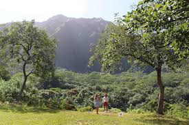 Koko crater botanical garden was created in 1958 find moanalua gardens a few miles northwest of honolulu off of the moanalua freeway. The 5 Best Botanical Gardens On OÊ»ahu Hawaii Magazine