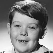 Regarder Le Virginien streaming