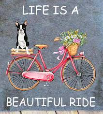 Live To Ride Ride To Live Boston Terrier Art Boston Terrier Love Boston Terrier