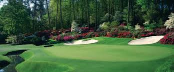 Tifway 419 tolerates close mowing and is highly disease resistant. Bermuda Grass Seed Frequently Asked Questions And Answers Sierra Vista Growers