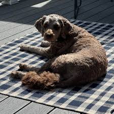 Geoffrey Bates (@geoffreybbates) · South Bristol, ME