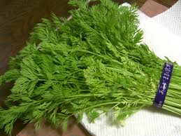 似てる よね 京都のhory Garden日記 旧