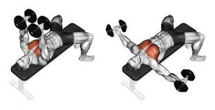 We did not find results for: Top 5 Best Exercises For A Lean Chest Workout A Lean Life
