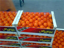 Coronavirus Les Fruits Et Legumes Marocains Tres Prises En Europe