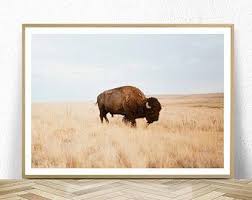 Bison Print Buffalo Wall Art Bison Printable Buffalo Print Etsy Buffalo Wall Art Bison Print Buffalo Art Print