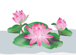 We did not find results for: Create A Lotus Flower With Adobe Illustrator Cs5 Blancer Com Tutorials And Projects