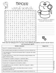Meiosis Word Search Meiosis Teaching Teachers Simple Prints