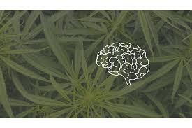 Medical Marijuana for Cerebral Palsy