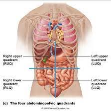 The right and left hypochondriac regions are found superiorly on either side of the abdomen, while. I Have Extreme Abdominal Pain What Could It Possibly Be Quora