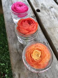 Flowers by june proudly serves anchorage and the surrounding areas. Alaskan Grown Flowers Writing About Gardens Flowers Life Turnstone Farm Urban Flower Farm And Wedding Florist In Anchorage Alaska