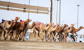 Flea & street markets in dubai. The Arab City
