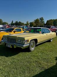 Image result for Tan Firemist 1980 GM