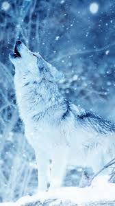 We did not find results for: Wolf Predator Howl Photoshop Phone Background Cool Backgrounds