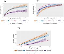 Image result for Xylopia wilwerthii