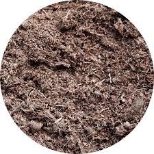 Image result for peat moss