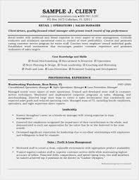 Sales Executive Resume Free Download Retail Sales Manager Resume ...