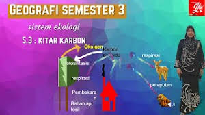 Sains tingkatan 2 bab 2: Explore To Koh S Science World Blog Sains Kitar Karbon Cute766