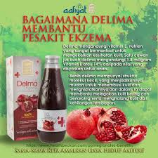 Buah delima merupakan salah satu buah yang sangat terkenal dengan kandungan nutrisinya di seluruh dunia. Organic Pomegranate Juice Jus Pati Delima Organik Azerbaijan Olive House Shopee Malaysia