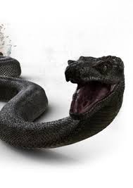 Fossils of titanoboa have been found in the cerrejón formation, and date to around 58 to 60 million years ago. Titanoboa On Mycast Fan Casting Your Favorite Stories