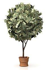 As it is a wedding gift, decorate it as much as you can. Guide To Wedding Money Trees Lovetoknow