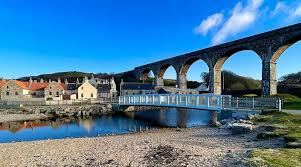 Image result for Cullen