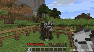 How To Milk A Cow In Minecraft