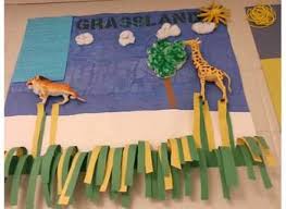 Biome Poster Project by Leslie Gilmer