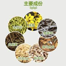 amazon com lianhua qing wen capsules 以岭连花清瘟胶囊 lian hua qingwen jiaonang 192 pills 12 hours fast shipping from us food animals cold medicine dog food recipes