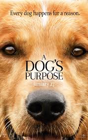Film izle, full hd film izle, indirmeden film izle, hd film izle. A Dog S Purpose 2017 Imdb