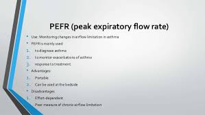 Pefr Mini Peak Flow Meter