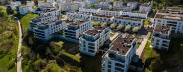 Image result for Icuria