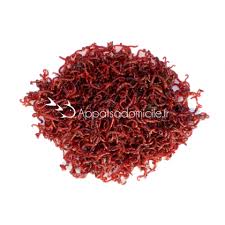 Pack 500 Gr De Fouilli 1 Portion De Vers De Vase Pack Promo Fouilli Vers De Vase Www Appatsadomicile Fr