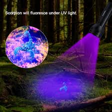 Pet Urine Detector Light Handheld Uv Black Light Flashlight Portable Dog Cat Urine Carpet Detector Super B In 2020 Black Light Flashlight Uv Black Light Puppy Supplies