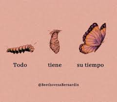 Todo tiene su tiempo, hasta el morir. Sunflower Todo Tiene Su Tiempo