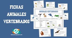 Esta especialización se encuentra lejos de ser universal y muchos animales que comen frutas u hojas comen también otras partes de plantas como raíces y semillas. Animales Vertebrados Fichas Ciencias Naturales