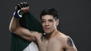 Прямая трансляция турнира ufc 263: Brandon Moreno S Golden Opportunity Ufc