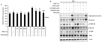 Dermal papilla (dp) cells support hair growth and regulate the hair cycle. Human Placental Extract Exerts Hair Growth Promoting Effects Through The Gsk 3b Signaling Pathway In Human Dermal Papilla Cells
