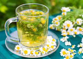 Chamomile tea and extracts have a calming effect. The Link Between Chamomile Tea Sleep The Sleep Judge
