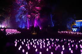 Enchanted Forest Of Light At Descanso Gardens An Ideal Holiday Date Idea Holiday Dates Romantic Places Forest